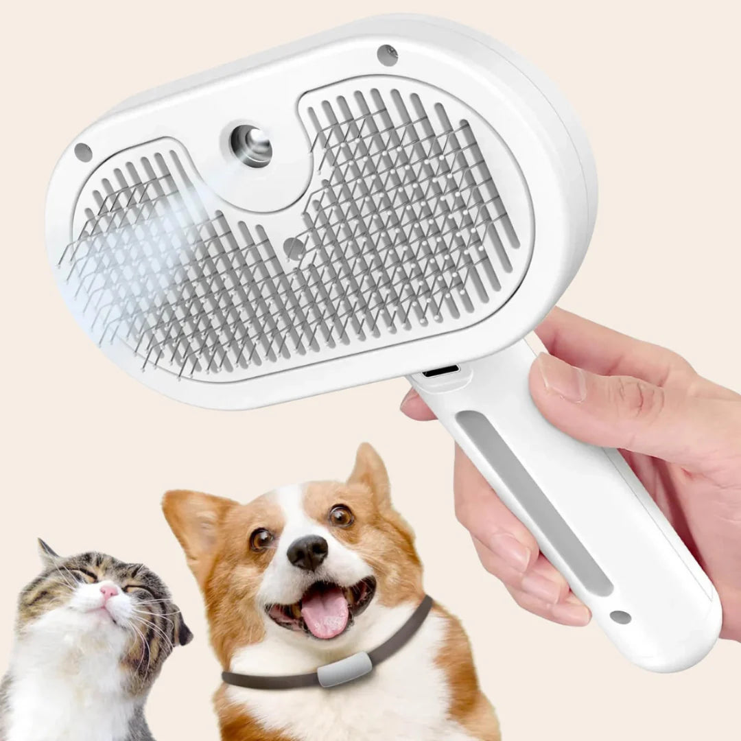 Steamy Dog Brush